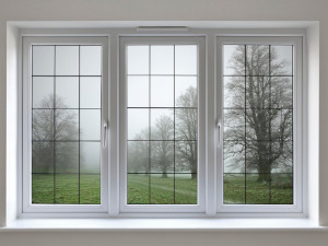 Multiple white casement impact windows with a view to exterior yard 