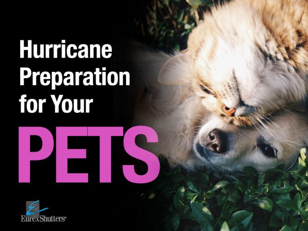 Hurricane Preparation for Your Pets